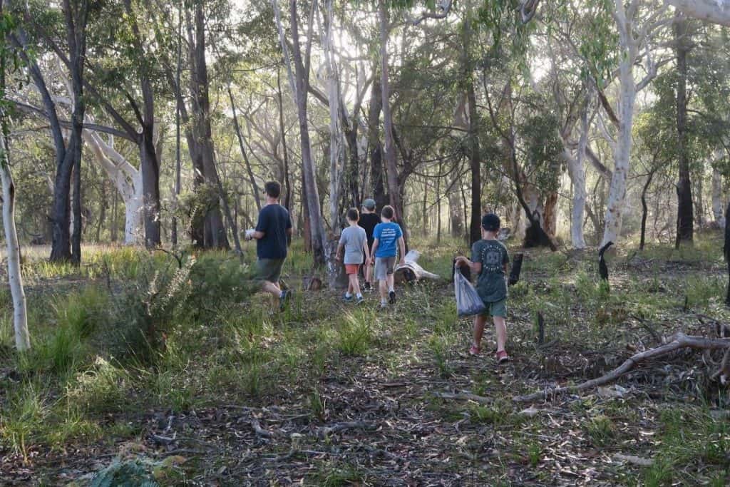 Scouts walking and picking up rubbish from bush