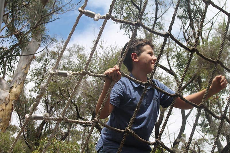 Scout climbing rope course